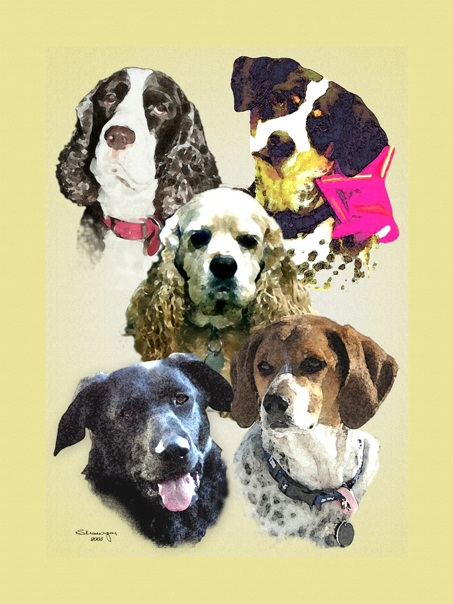 ShawgerDogsPrint.jpg