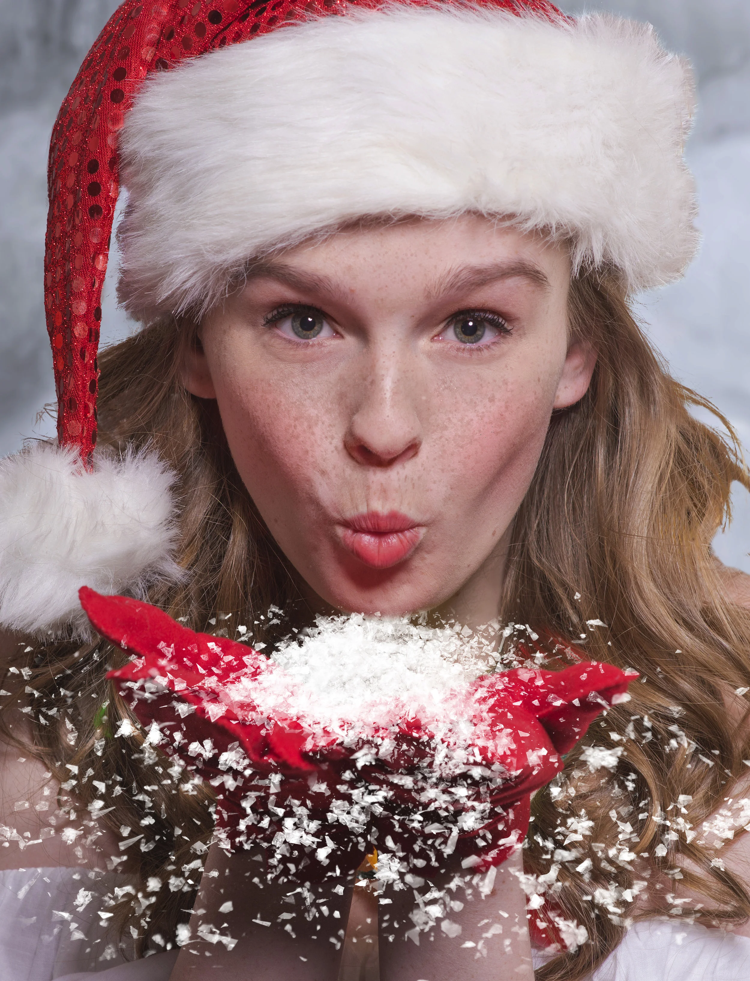 Freckles and Snow Working 2.jpg