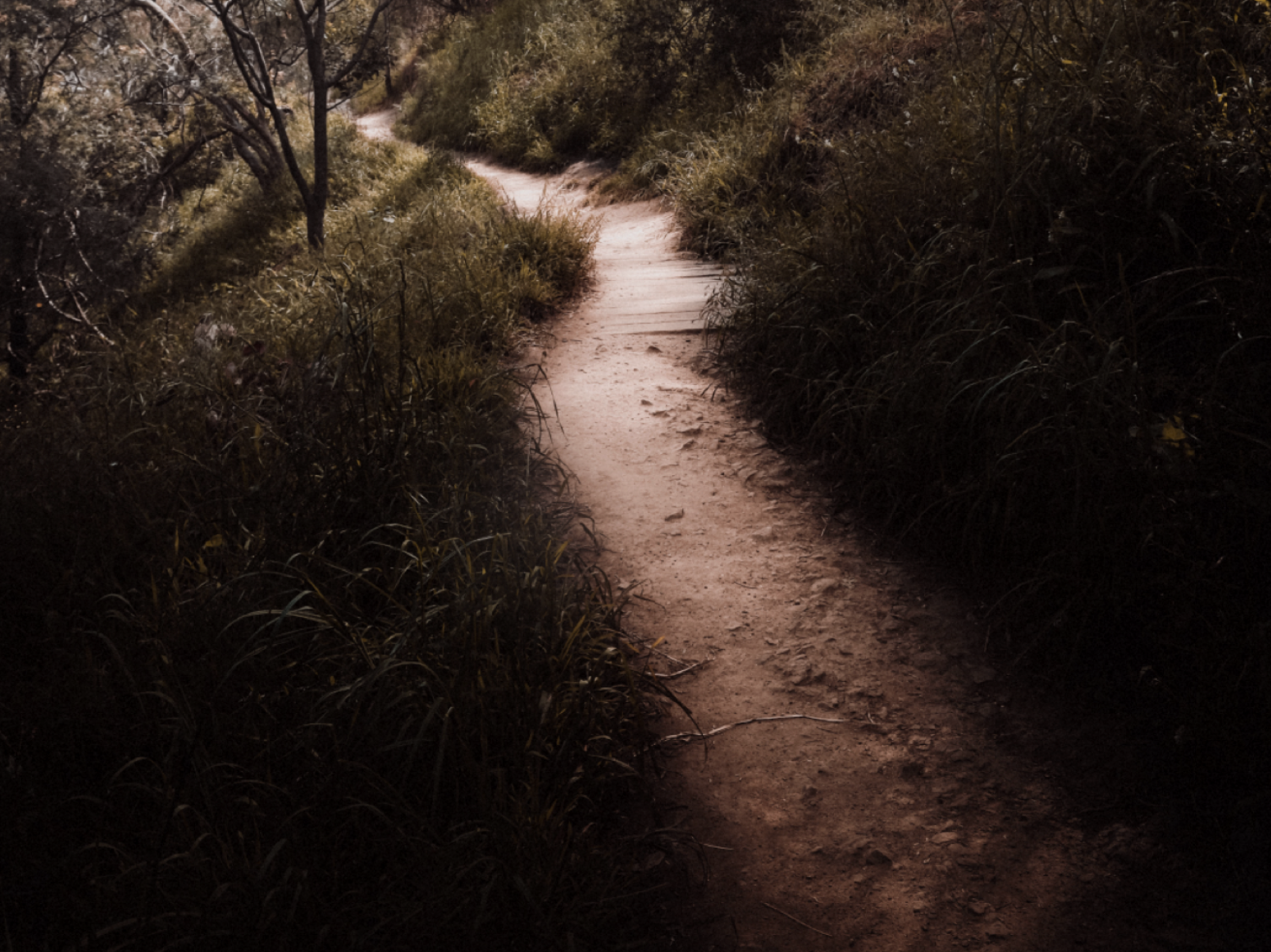 Road to Emmaus