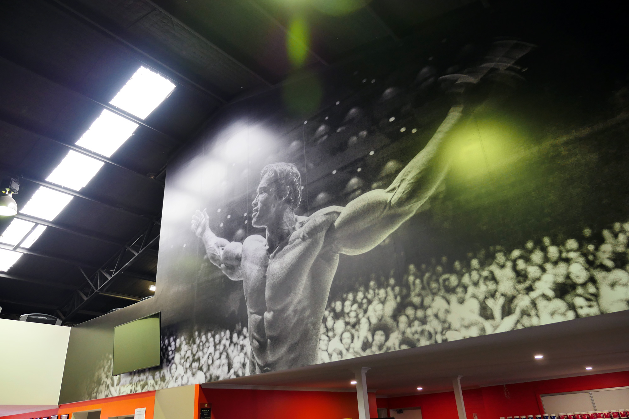 Definition Fitness Wollongong - Printed Wallpaper Graphics