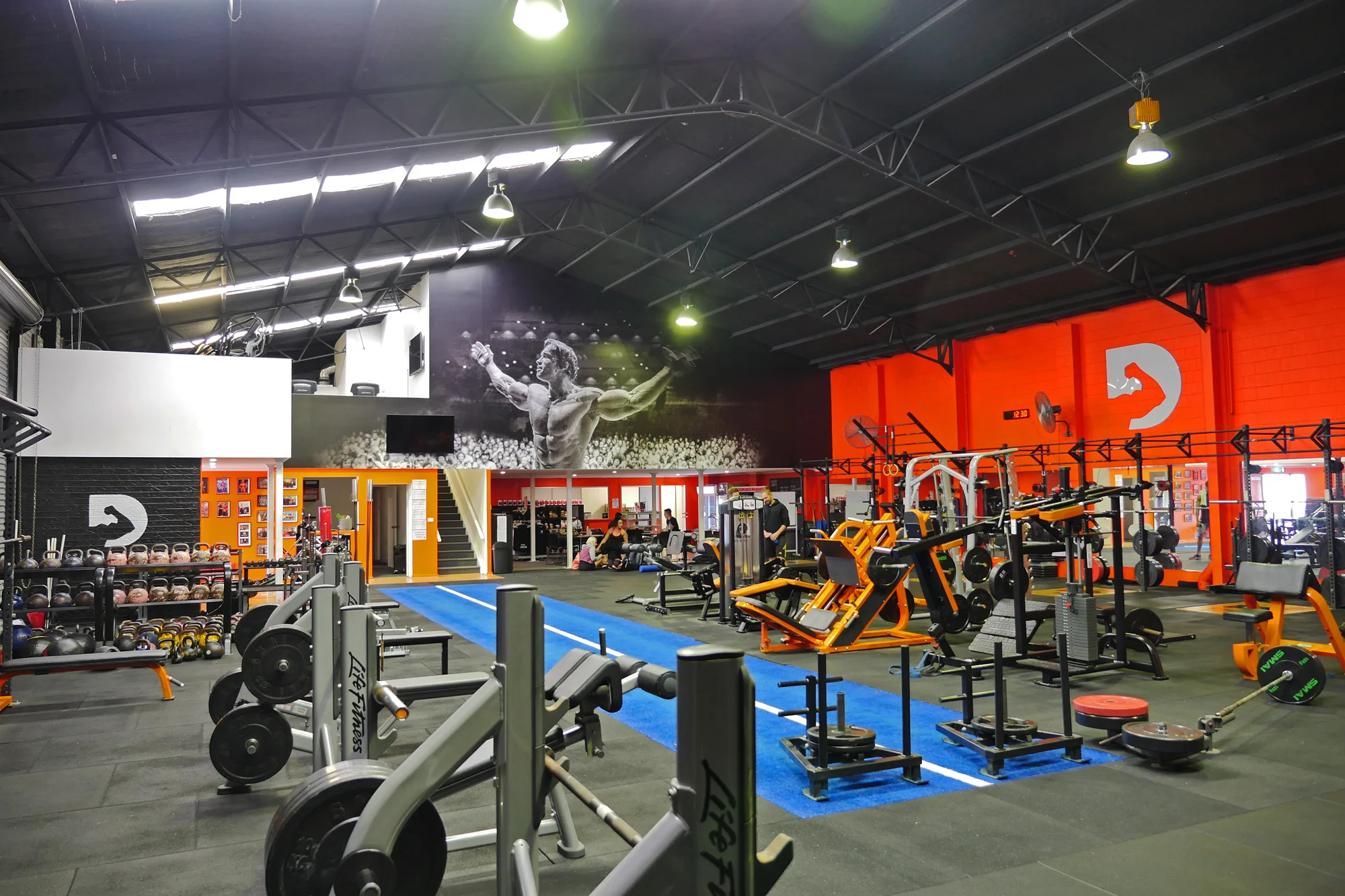 Definition Fitness, gym signage by Visual Energy.