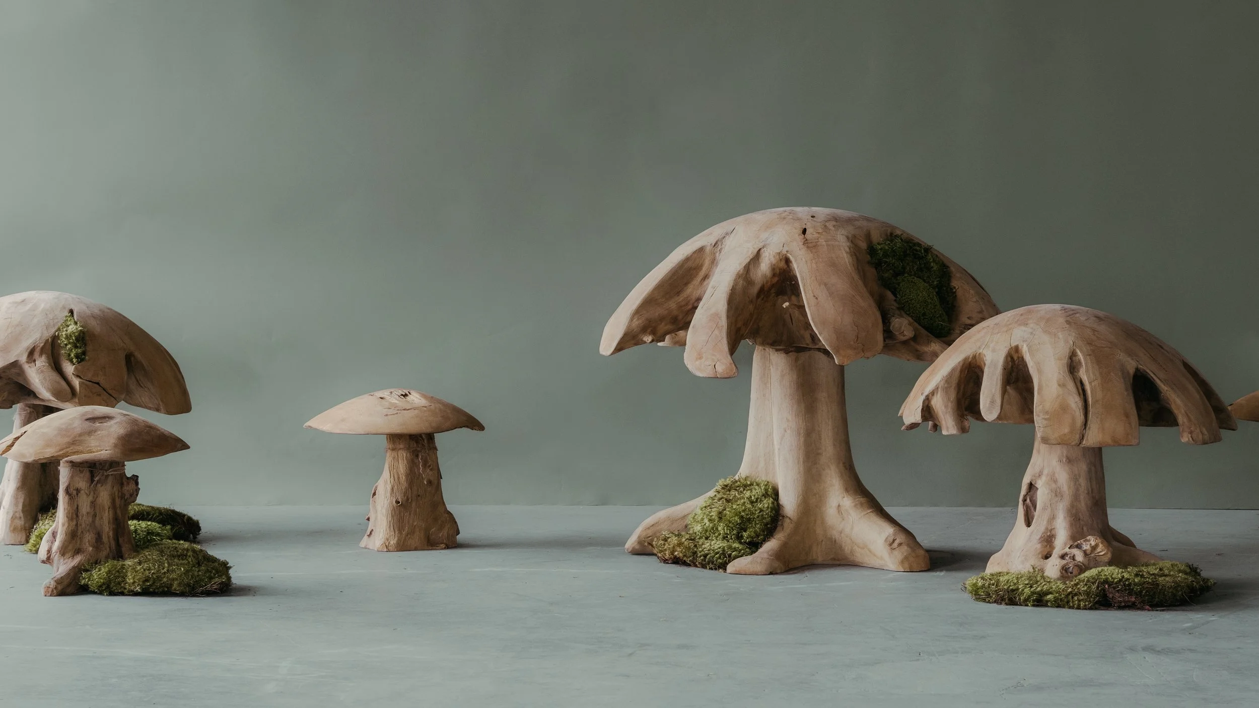 Teak_02_Jaime Arthur.jpg