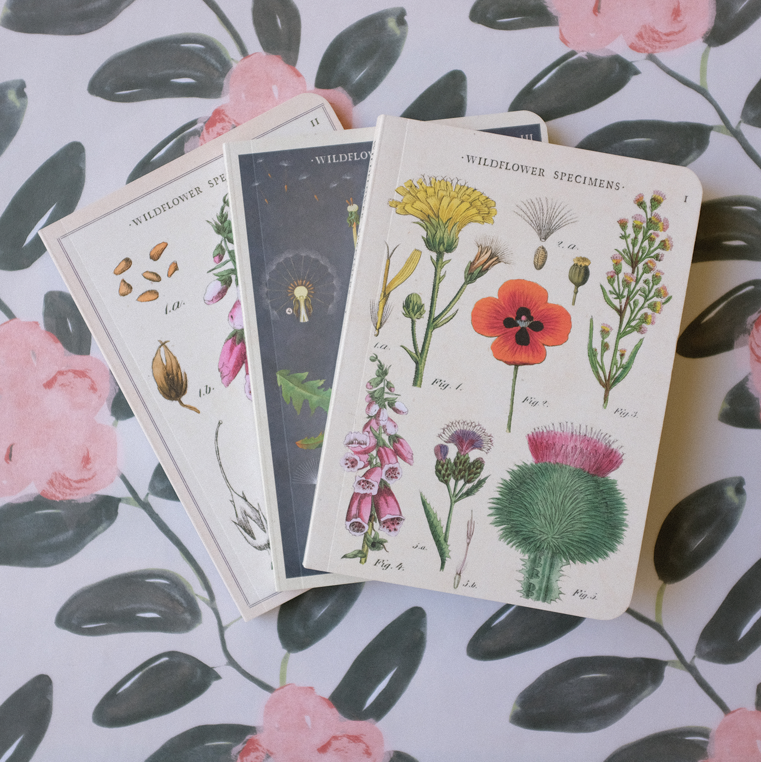 flower_notebook-2.png
