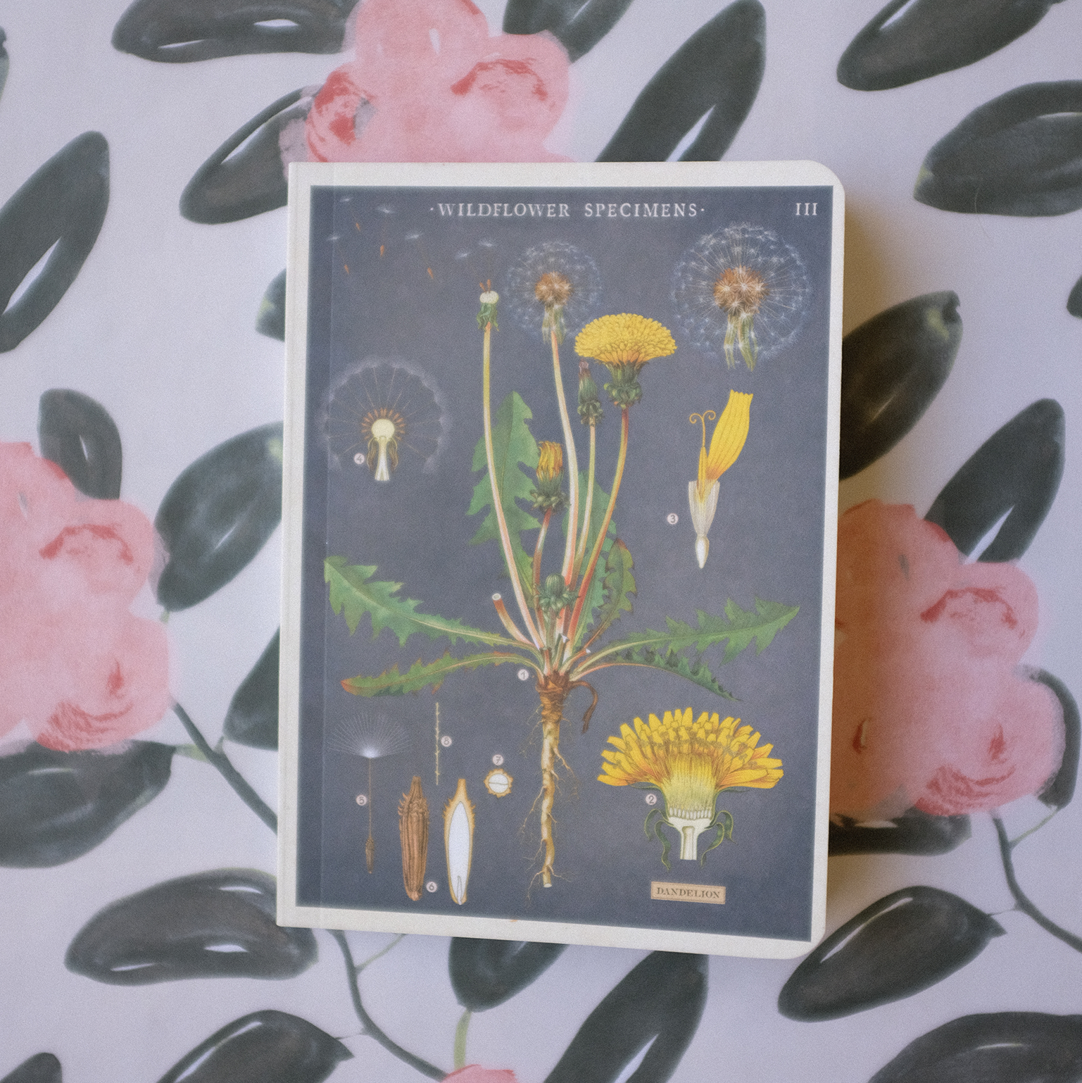 flower_notebook-4.png