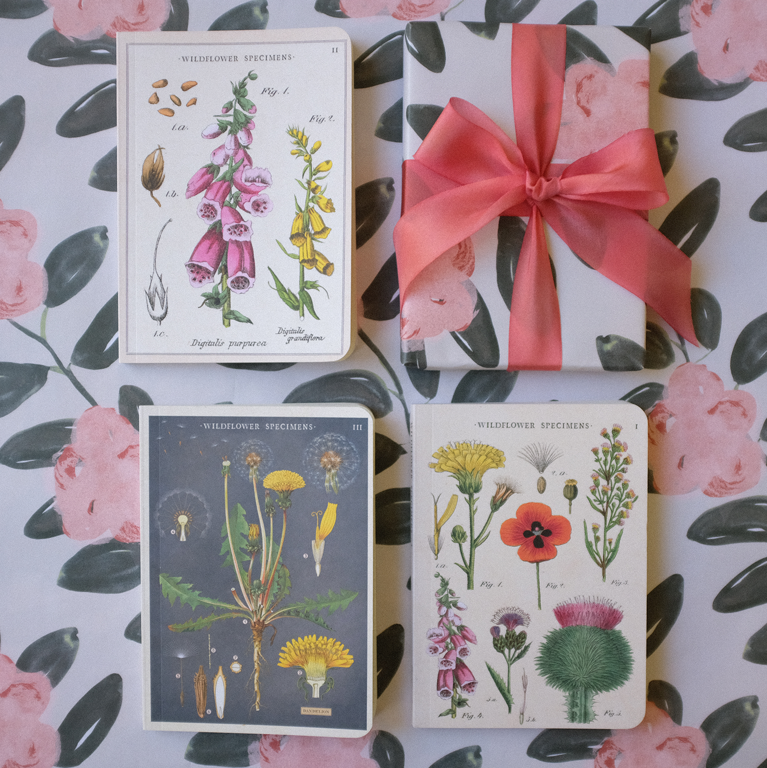 flower_notebook-3.png