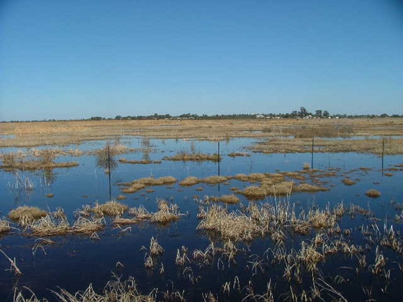 Fivebough Wetlands.jpeg