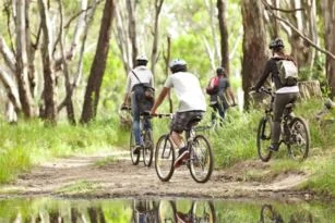 Cycling.jpeg