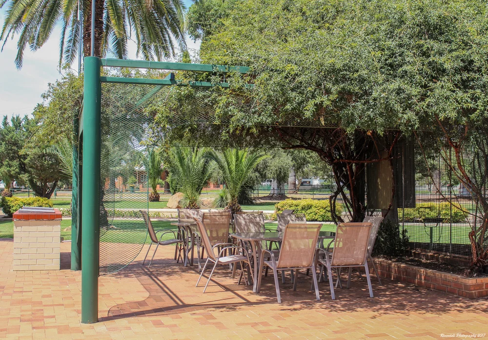 Rose arbour garden