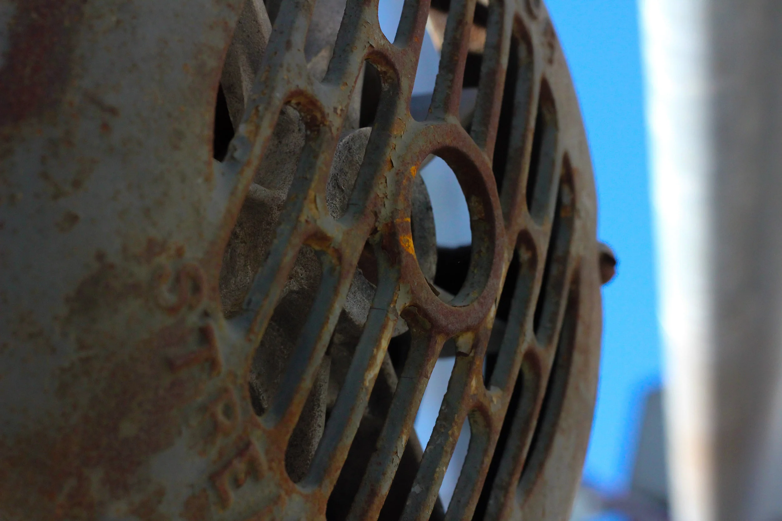 IMG_7130-Recovered.jpg