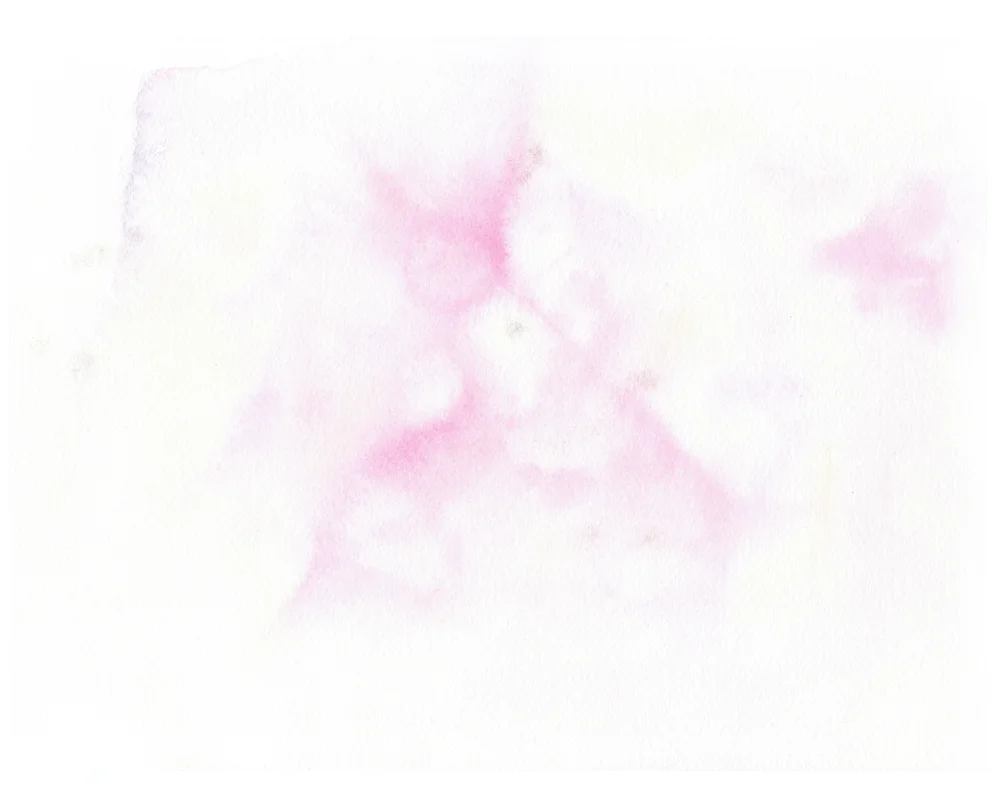 bg_hotpink_w.jpg