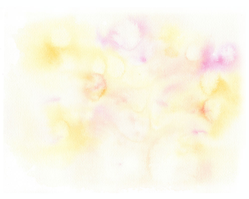 bg_yellorange_w.jpg