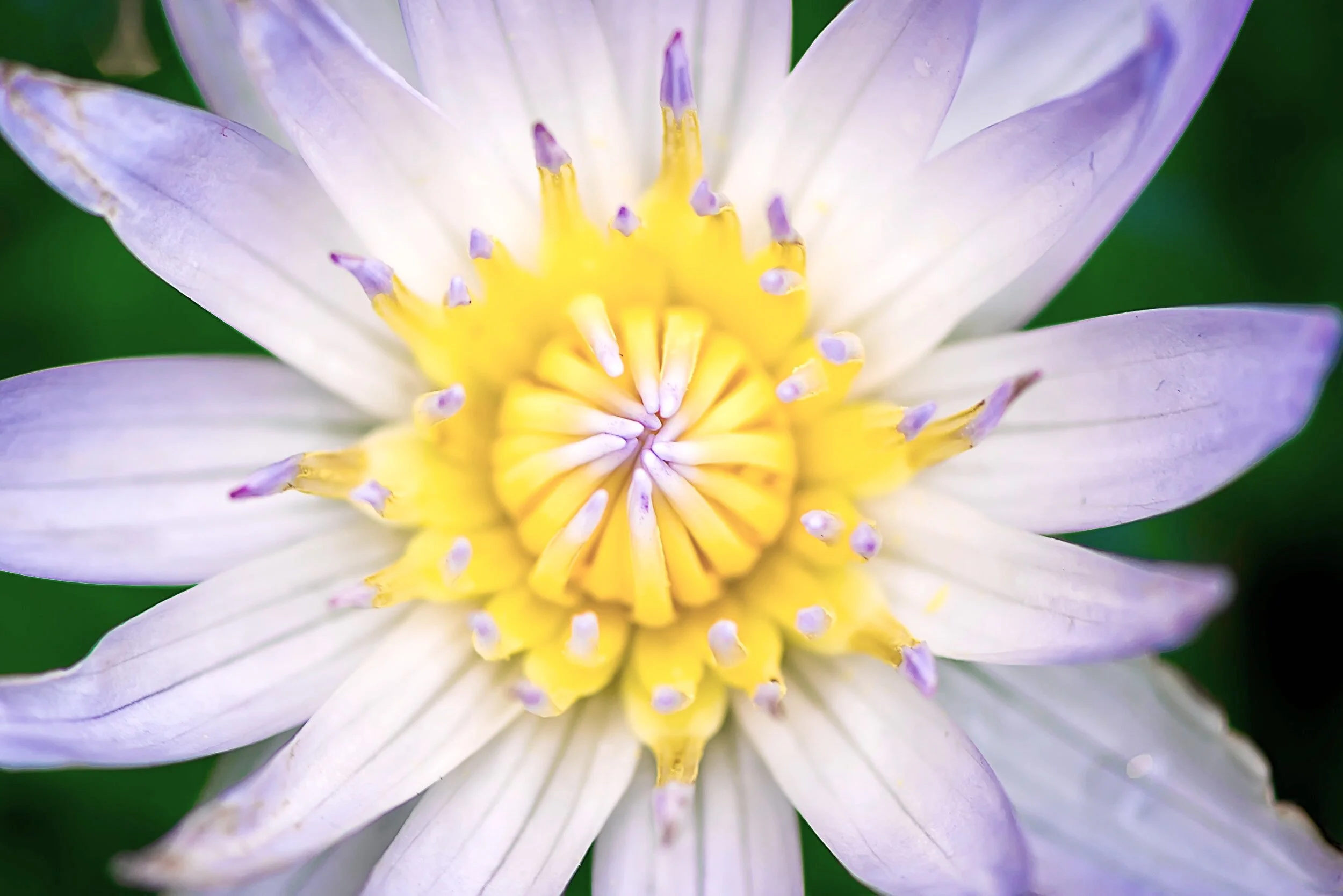 centering guided meditation