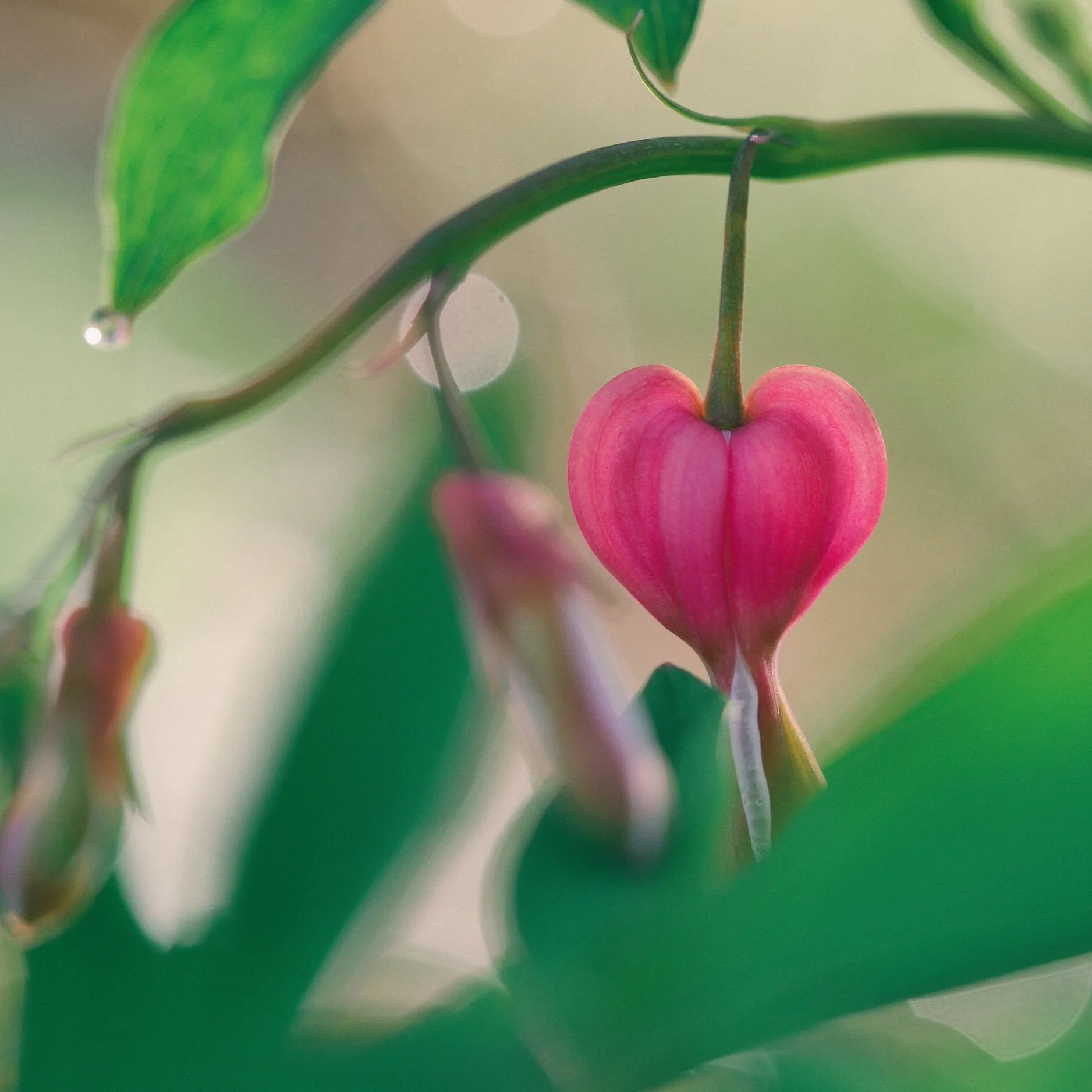 Creative Heart Healing: 6-week Online Art Journaling Workshop Series