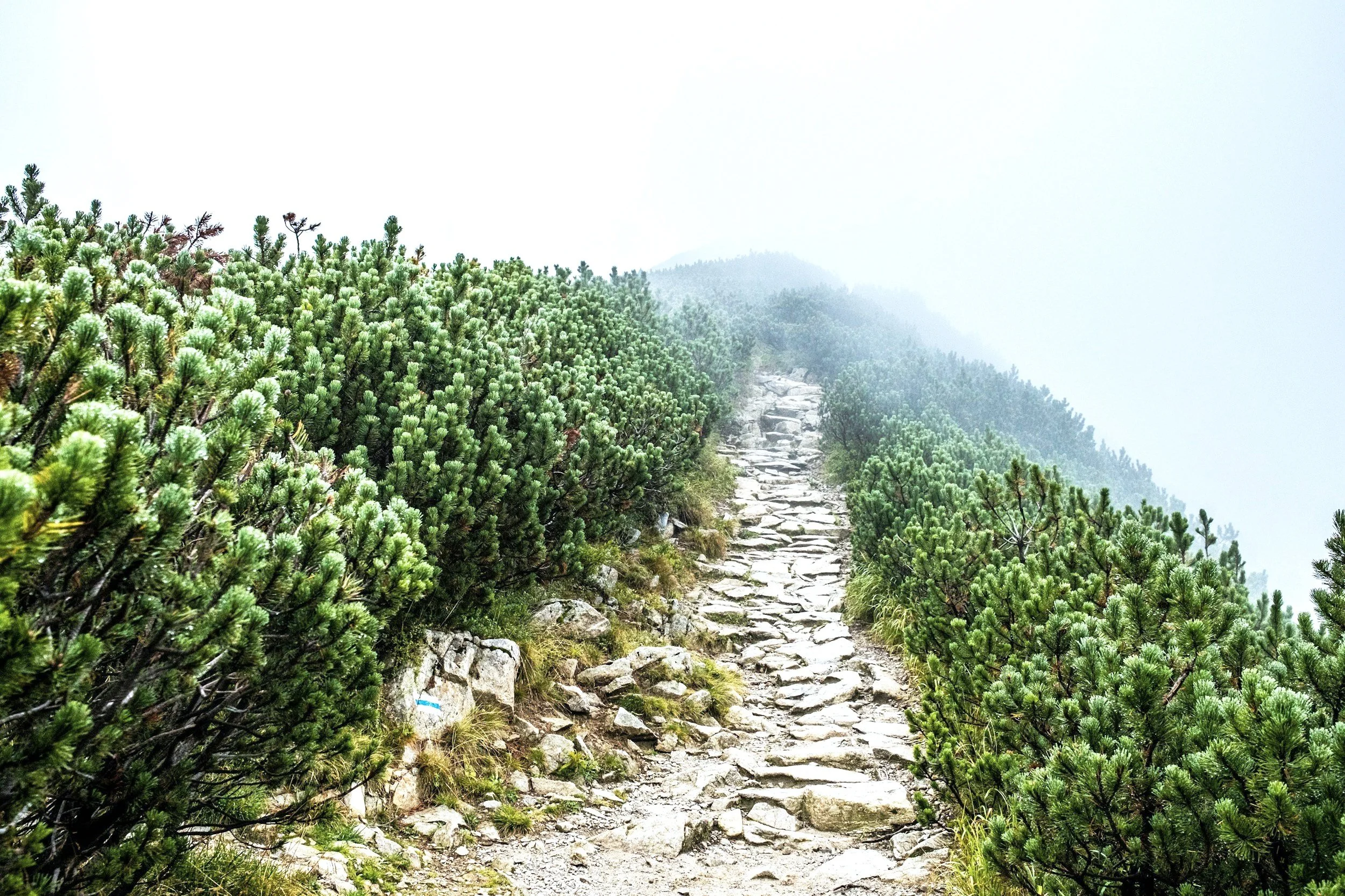 5 lessons I learned on the path from career failure to career fulfillment