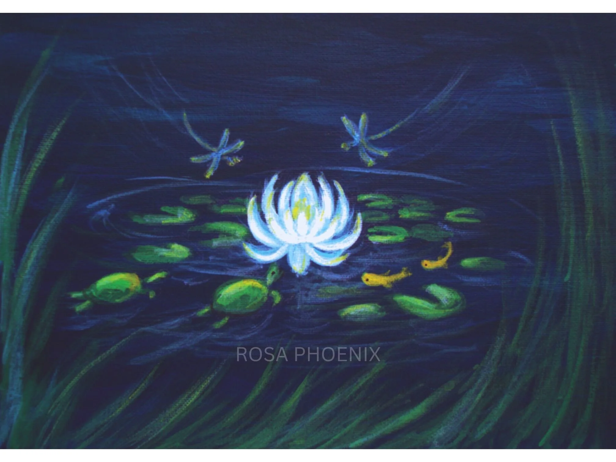 painting by Rosa Phoenix of a white lotus flower in a pond