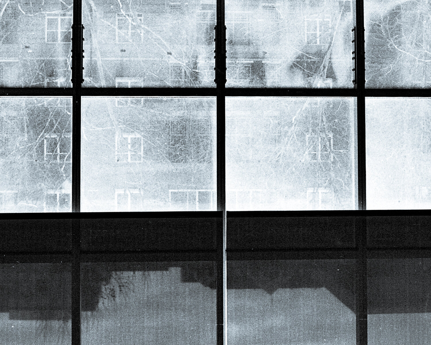 CM-DowntownSanJose-2019-4.jpg