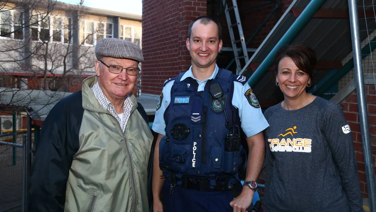 Domestic Violence Liaison Officer: Police & DV Support