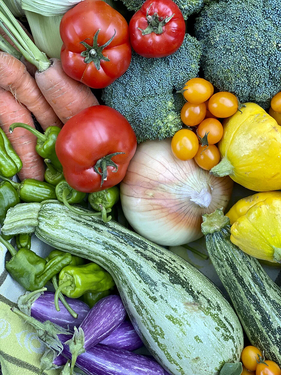 Robin CushmanIMG_2785.jpg