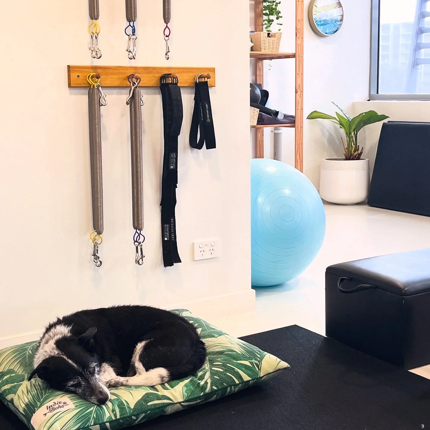 Quiet moments in our clinical studio, where movement heals and real change begins, just as Joseph Pilates intended.

Want to work with us one-on-one? We&rsquo;ve opened more spots! Join Colina, Chris, Lexi, Marnie, or Celia Monday&ndash;Friday. 
Cont