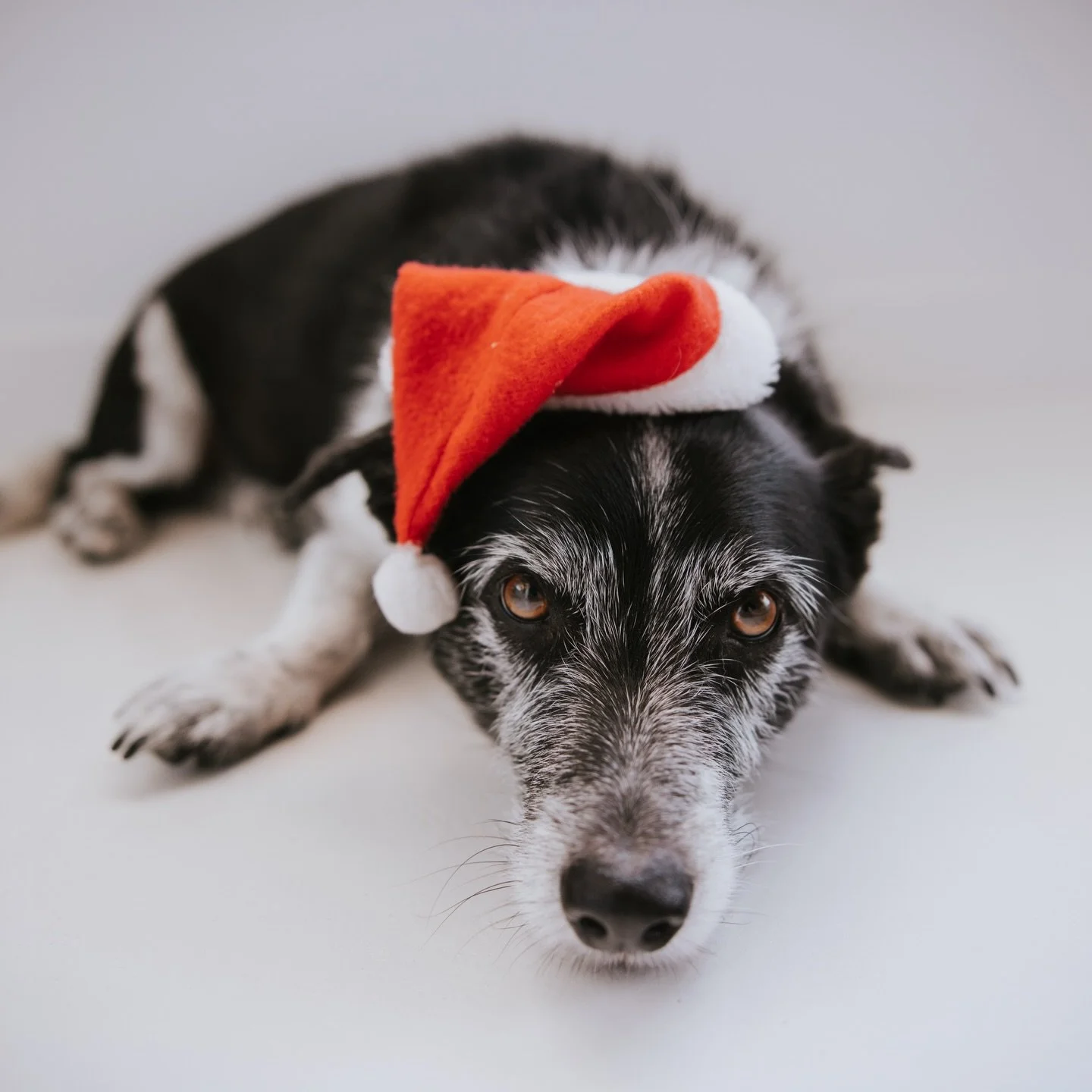 Wishing you a very Merry Christmas 🎄
We&rsquo;re now closed for the holidays and can&rsquo;t wait to move with you again from Saturday 3rd January.