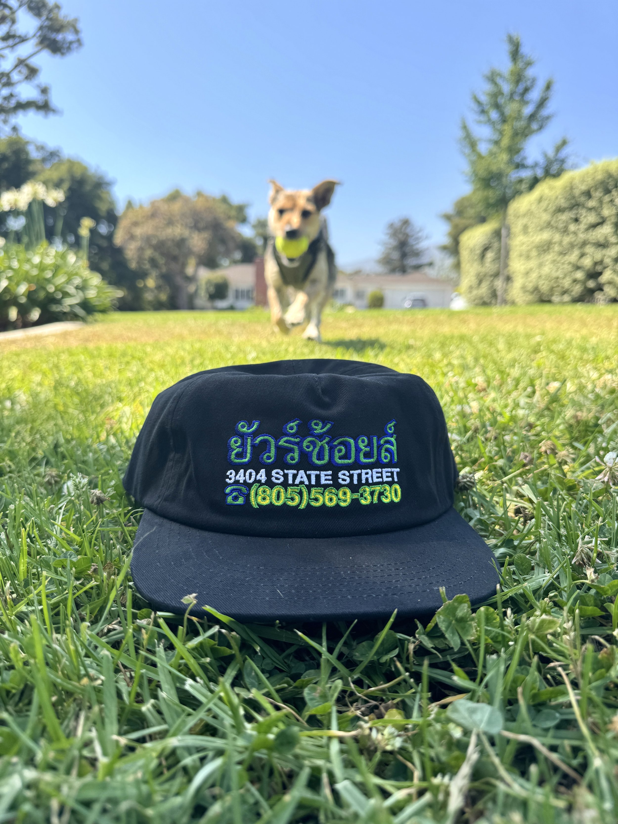 Your Choice Snapback - Black