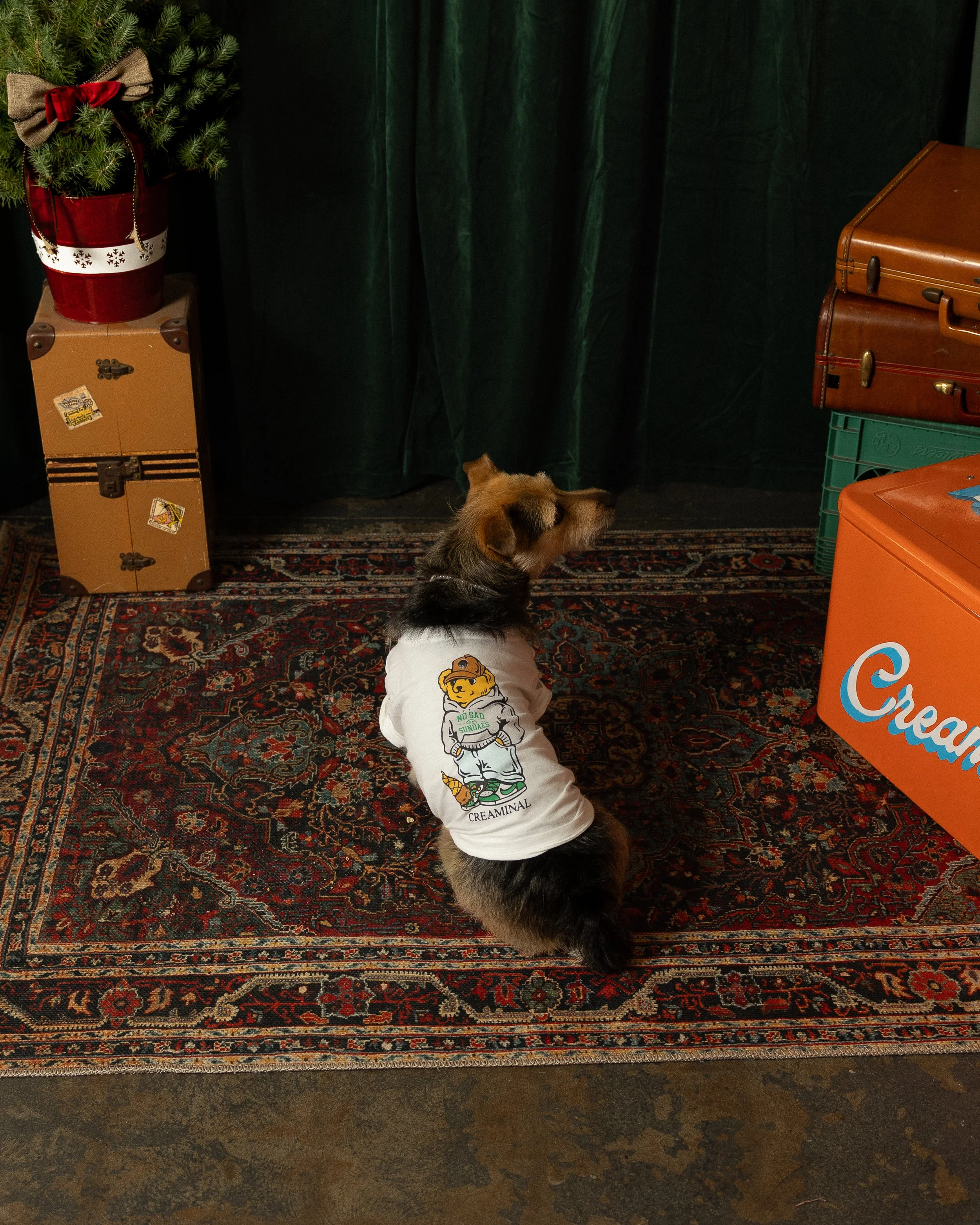merch 2025-12.jpg