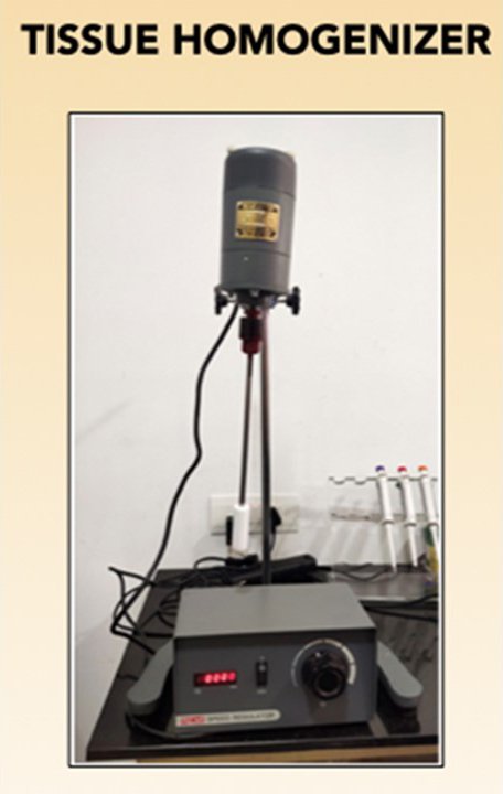 Tissue Homogenizer.JPG