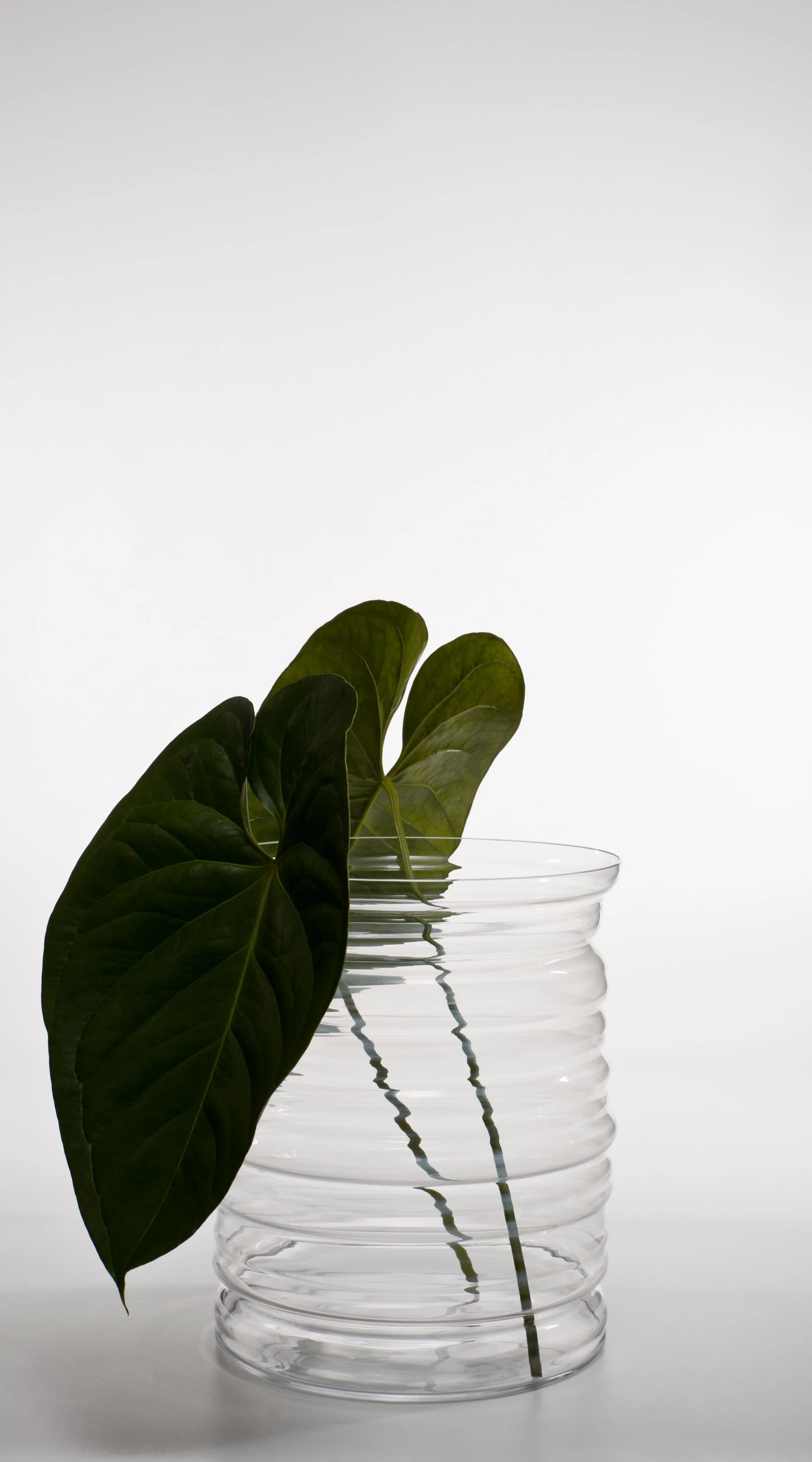 eraumavez_vaso_mcimardi_web2.jpg