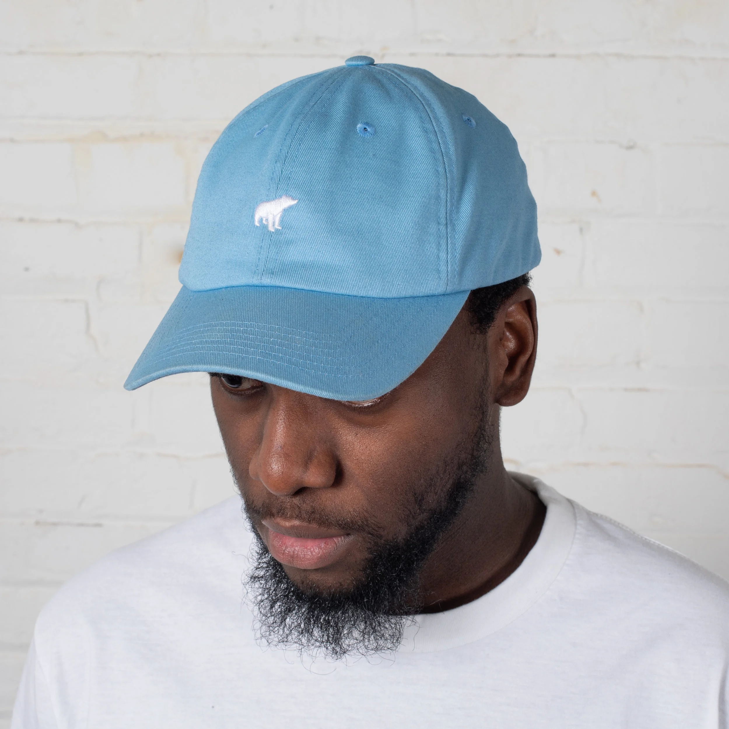 6-panel hat - sky blue — Plain Bear