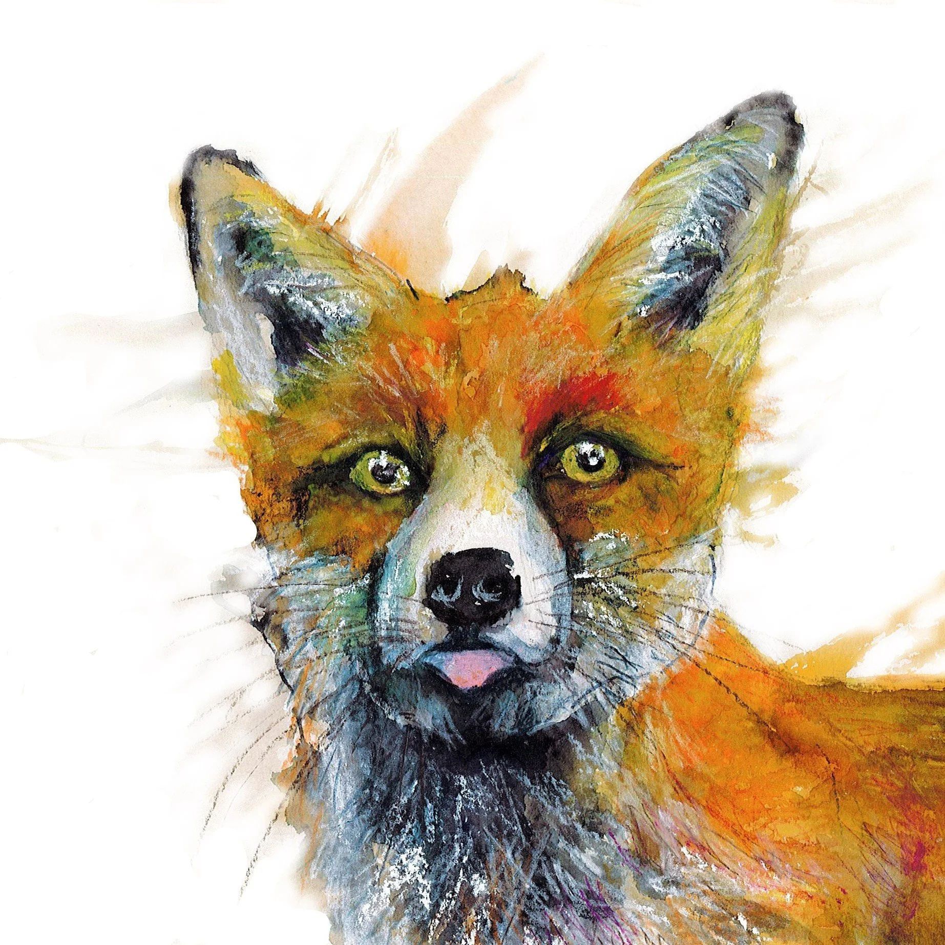 J Lancaster Cheeky Fox.jpg