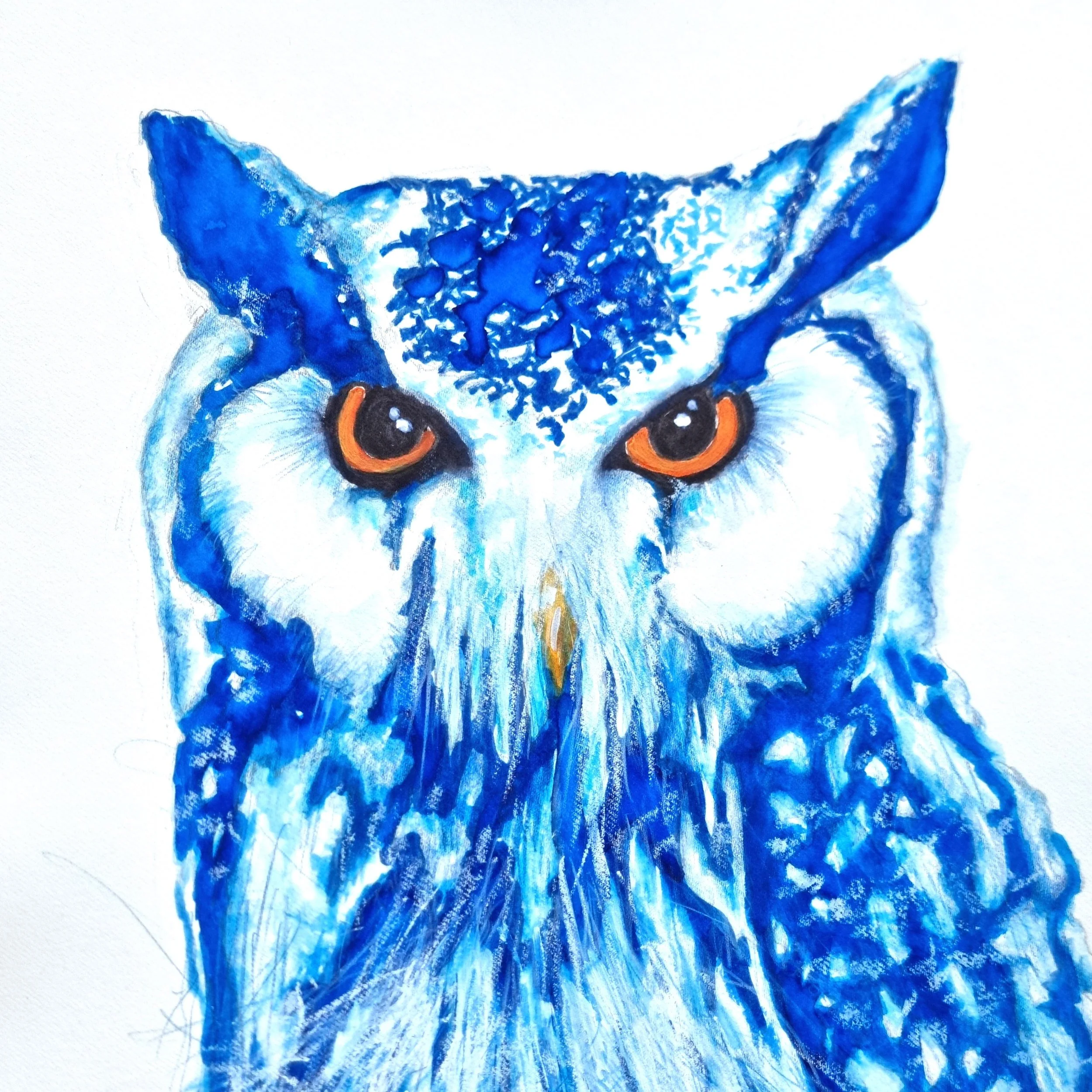 J Lancaster Blue Owl.jpg