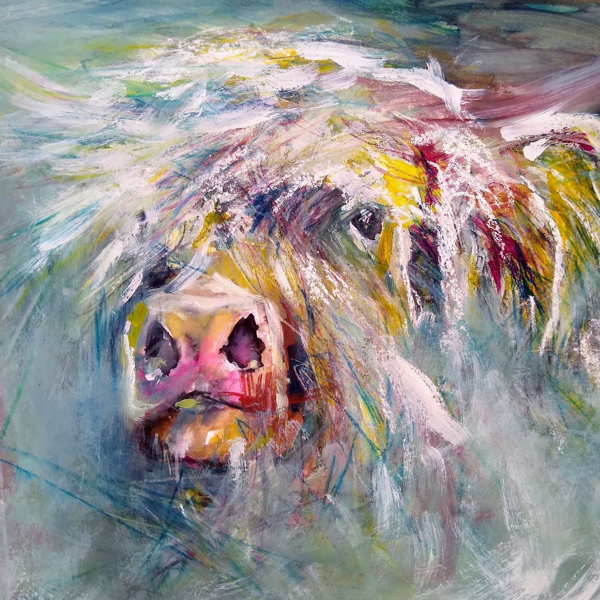 Highland Cow in MistSq.jpg
