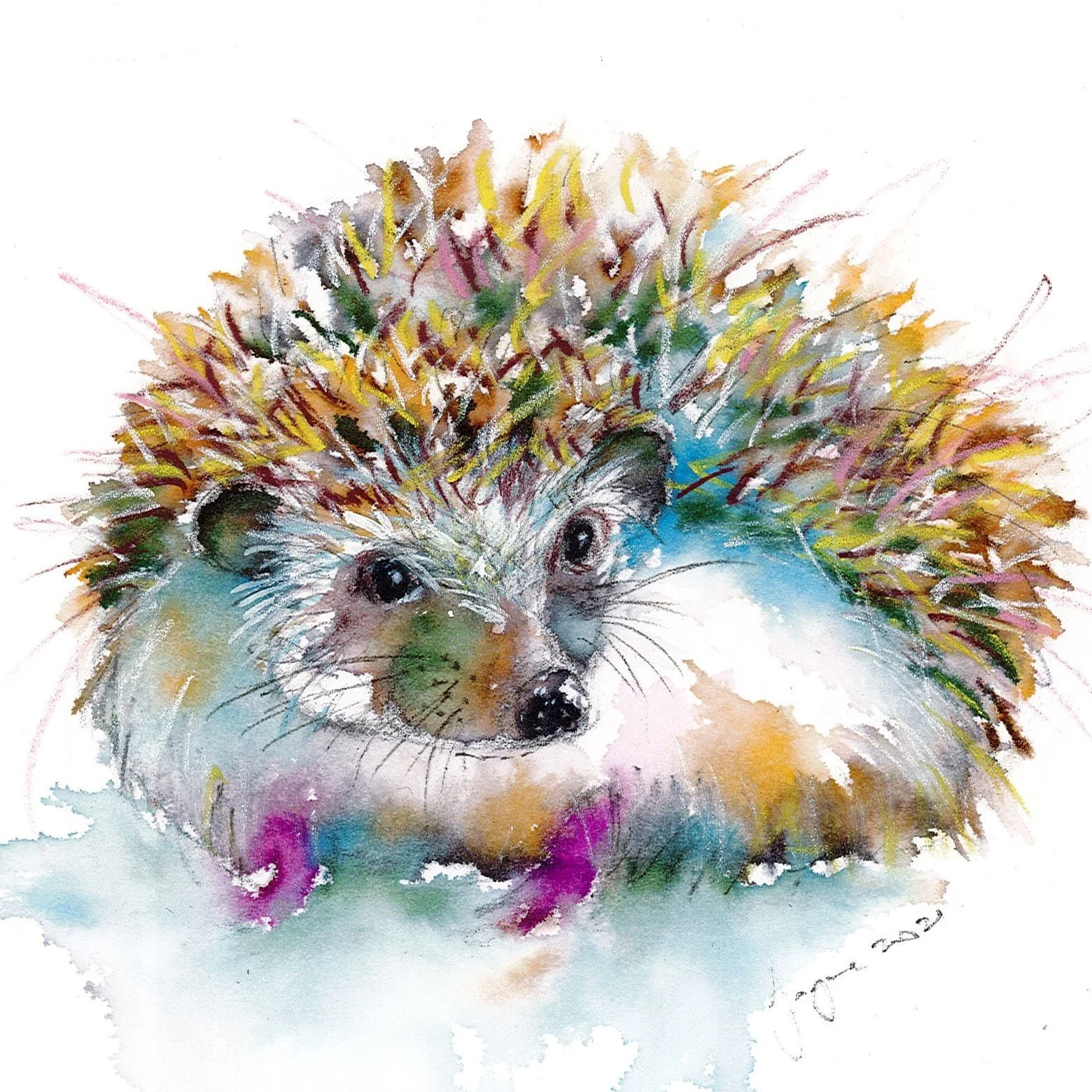 JLancaster Hedgehog (3).jpg