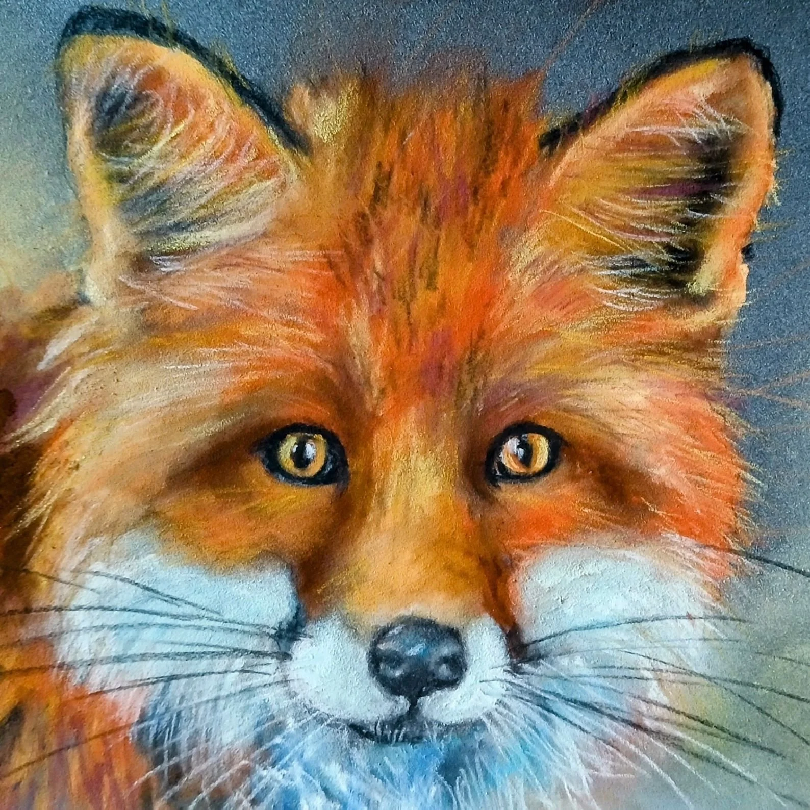JLancaster Nightime Fox.jpg