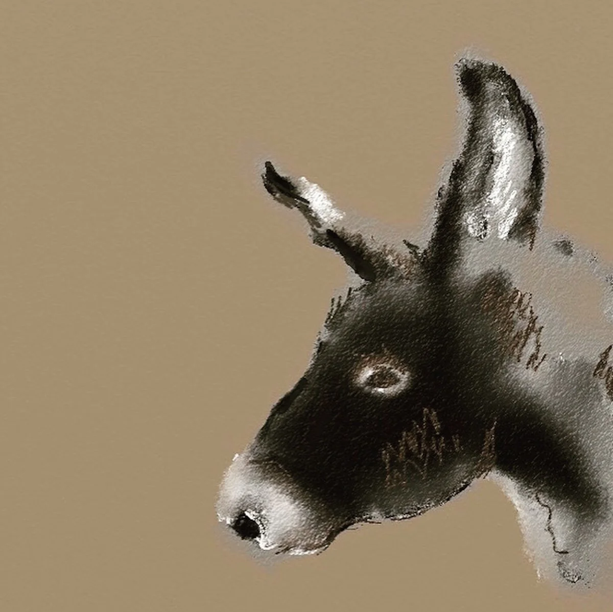 Storth Donkey.jpg