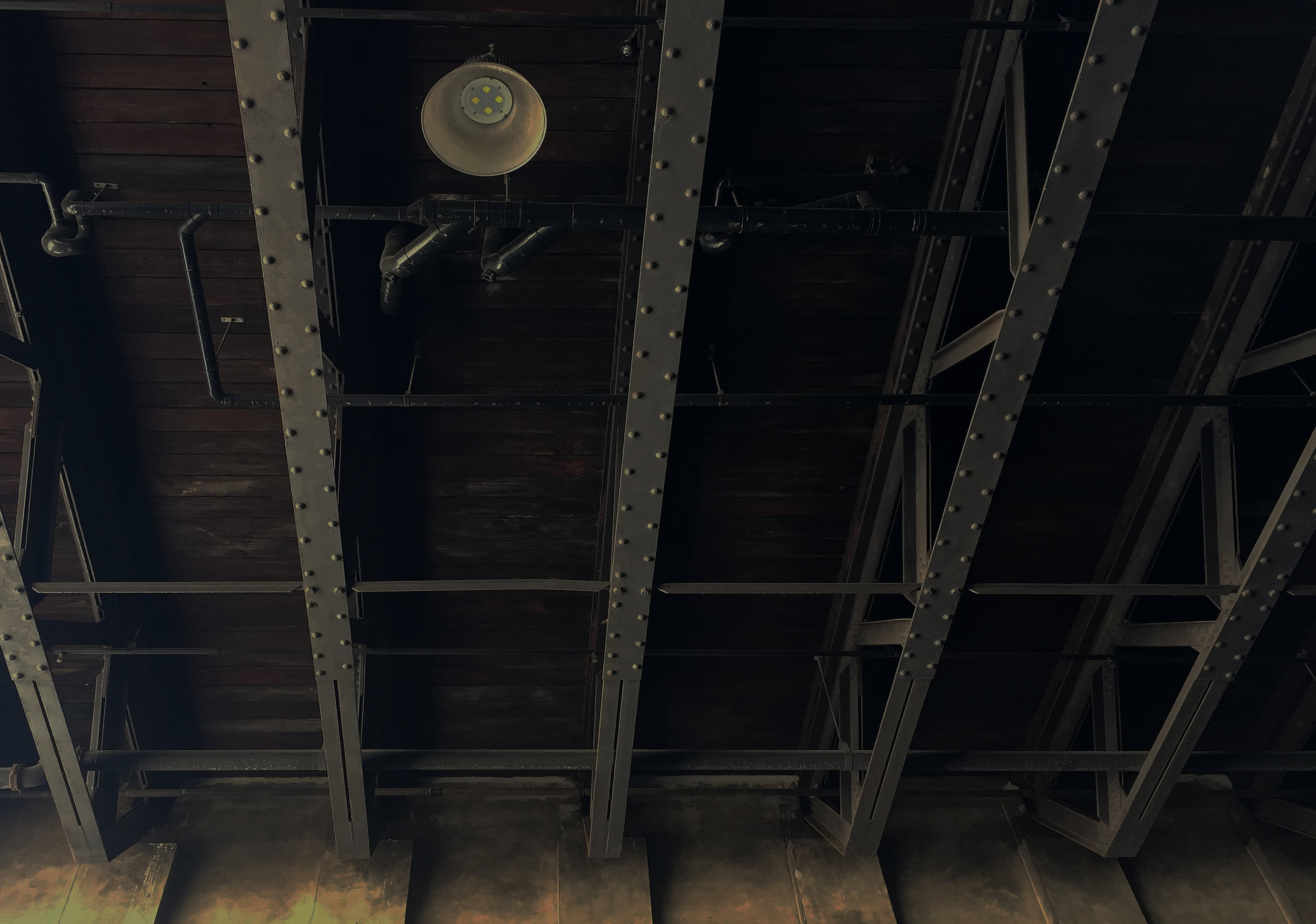 TF Background.jpg