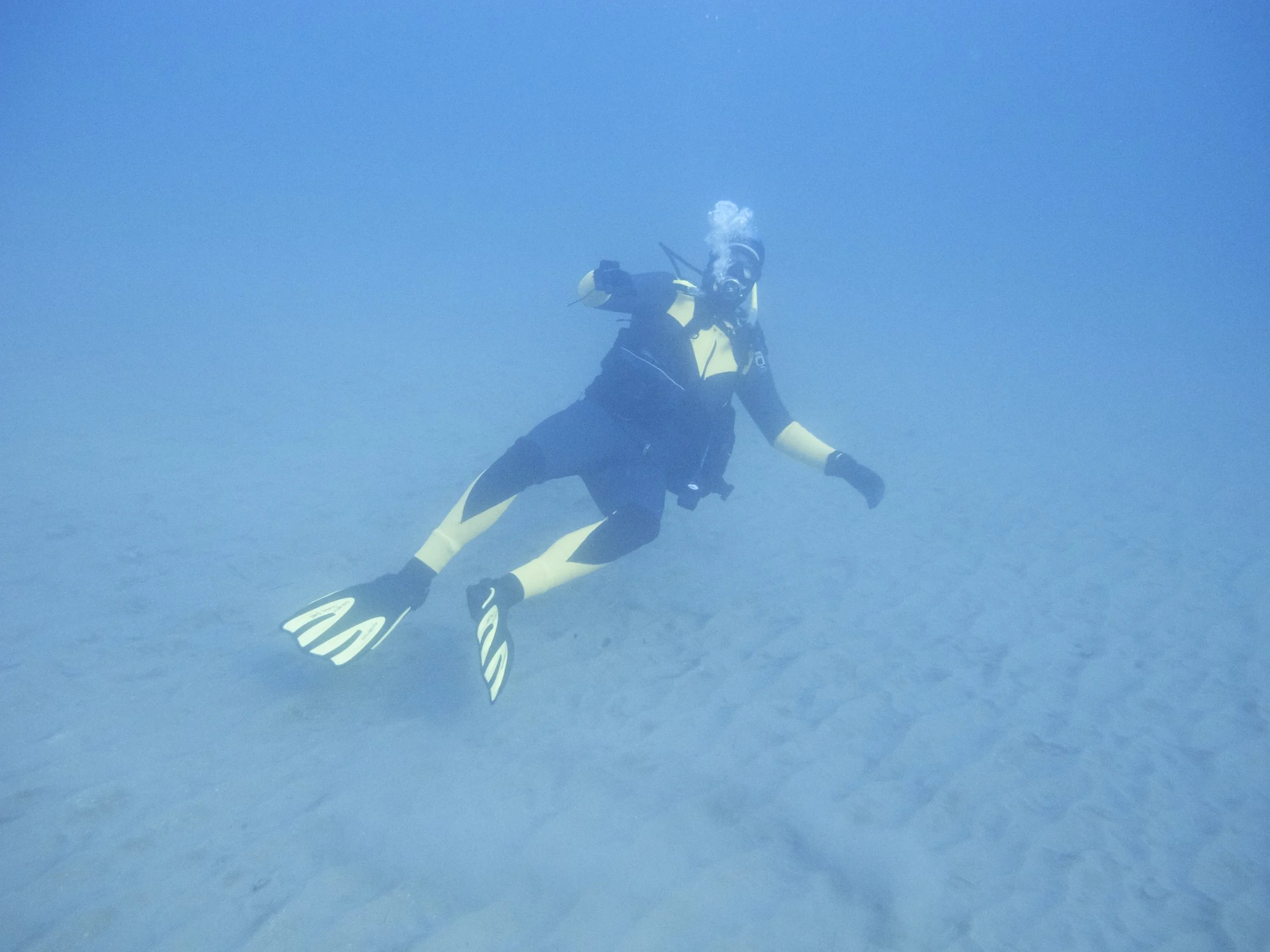 Why Scuba Diving in cold water is like sales