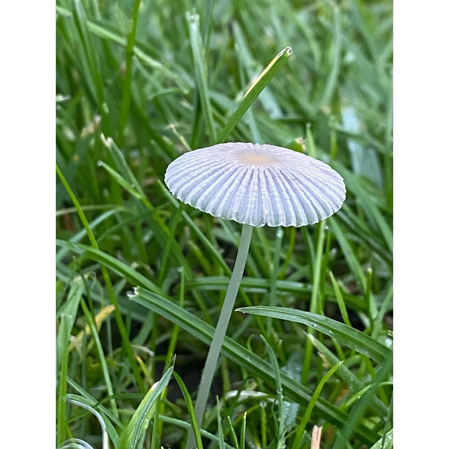 Who&rsquo;s still capturing the most of autumn? 
We are so looking forward to our photography walk on the 17th November for Social Enterprise Day with @thegoodnesscollectivecic 

Bring your phones or cameras. 
DM us for sign up link! 

#photography #