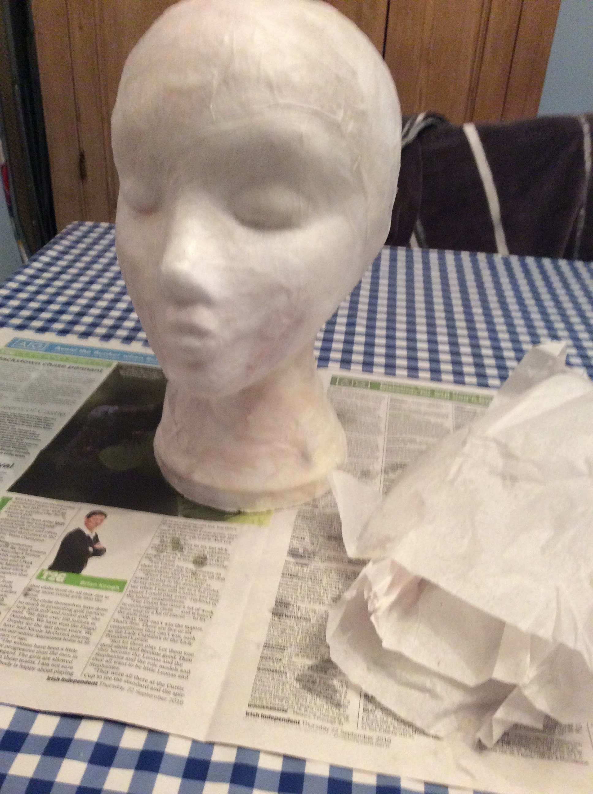 STEP TWO.......Fine tissue paper was applied