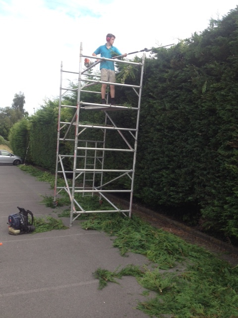 Hedge trimming at height