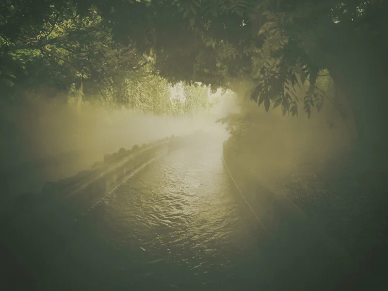 boatpath.jpg