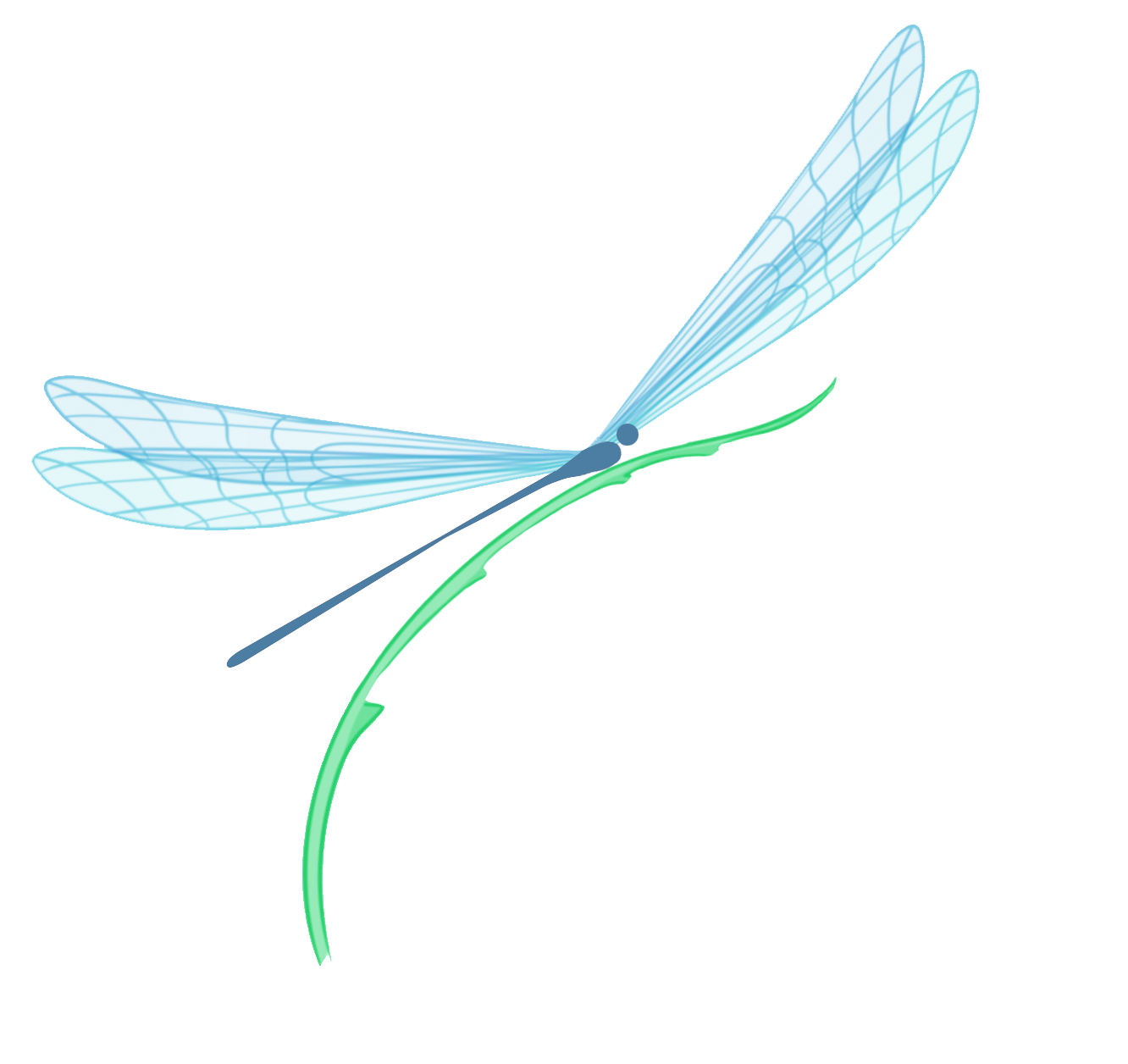 dragon fly color.png