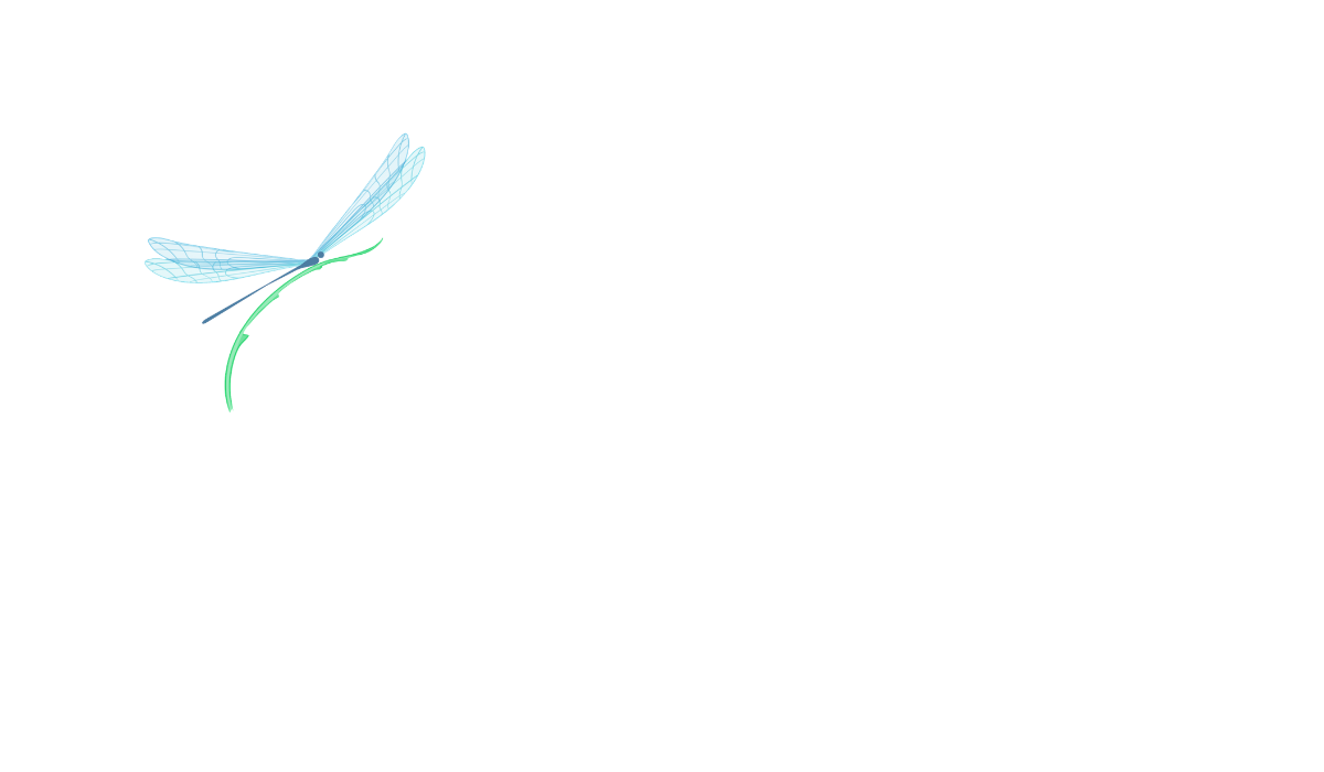 dragonfly_white.png