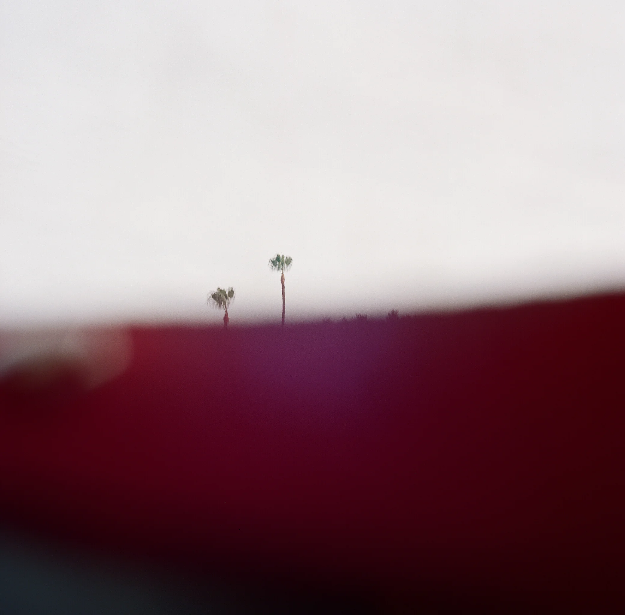 Twin Palms