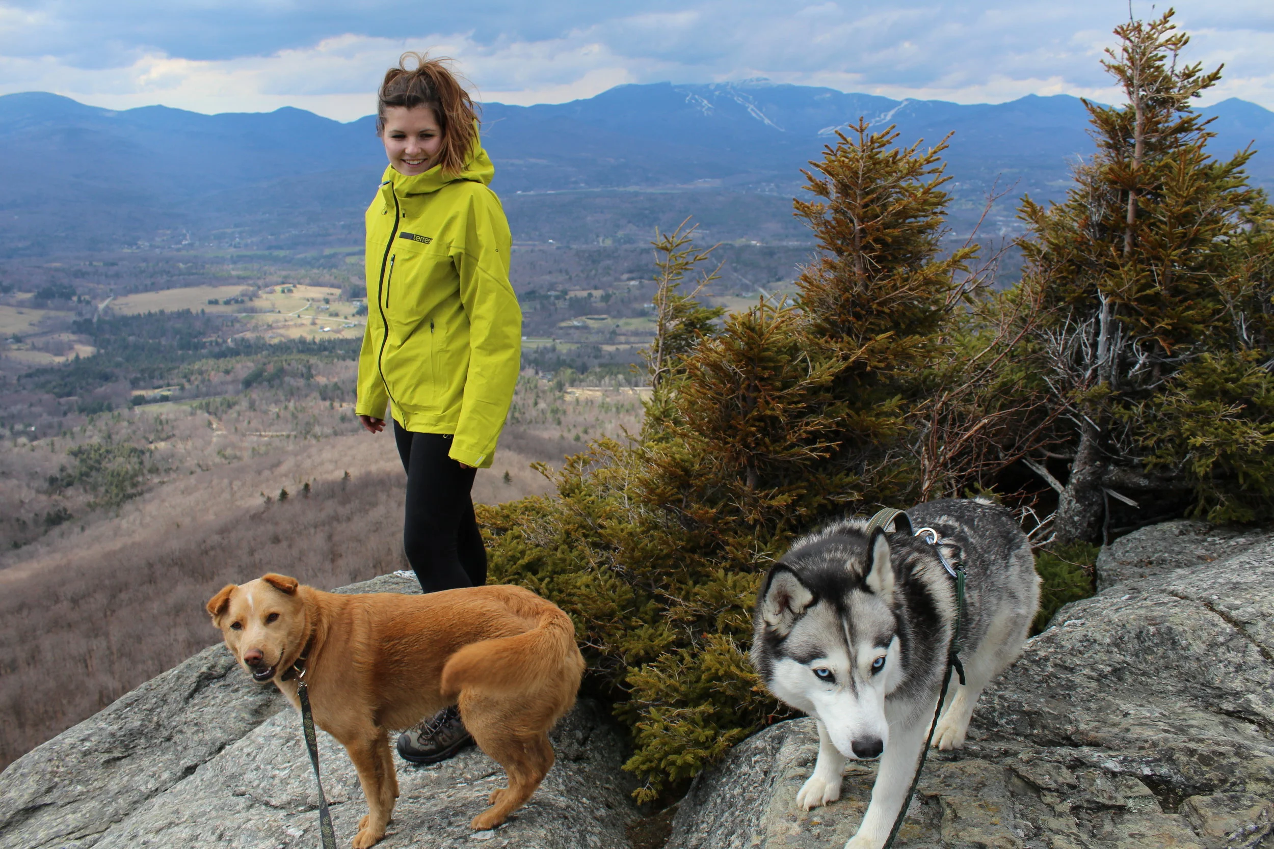 lazy bones dog treats
