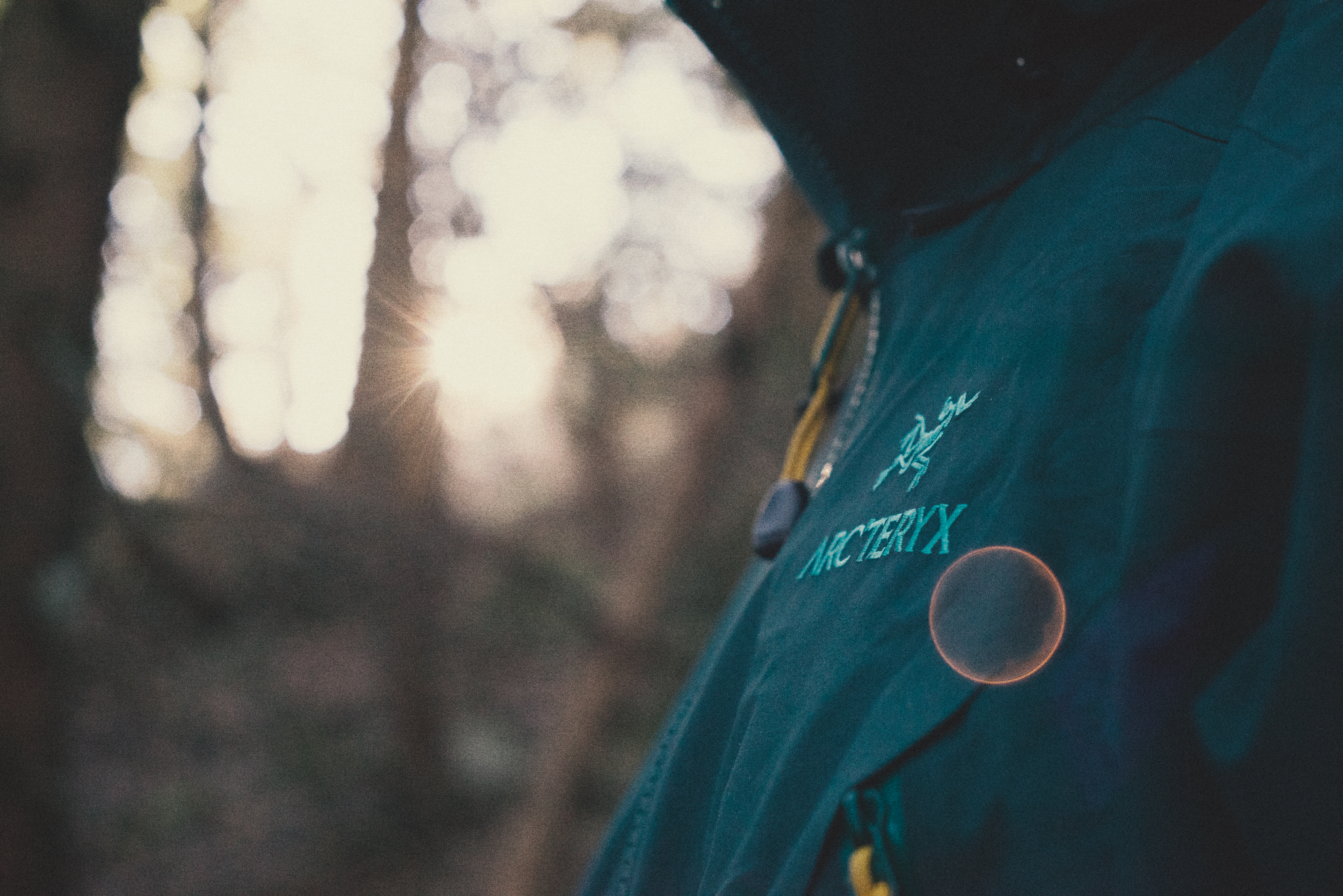 V-Arcteryx.jpg