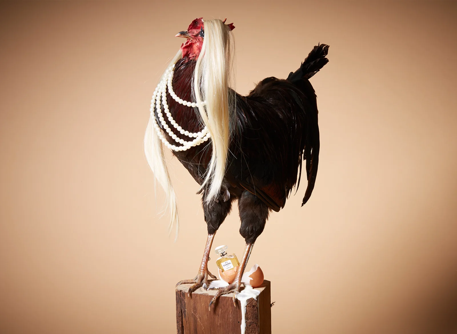 347732757fc964d9-Cock_styling_by_Victoria_09-26-14036_LARGE.jpg