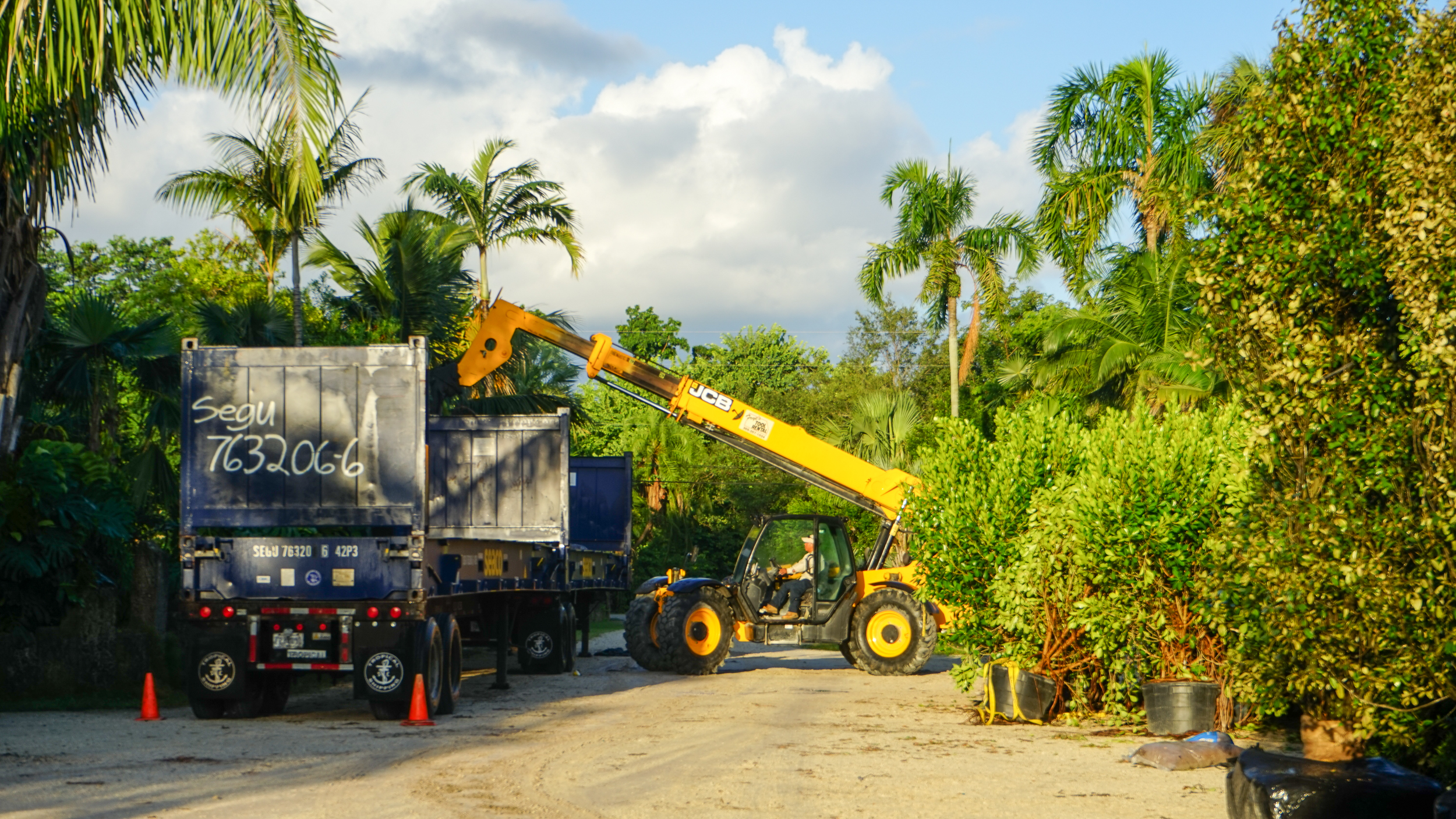 Export Shipping Services Plant Creations