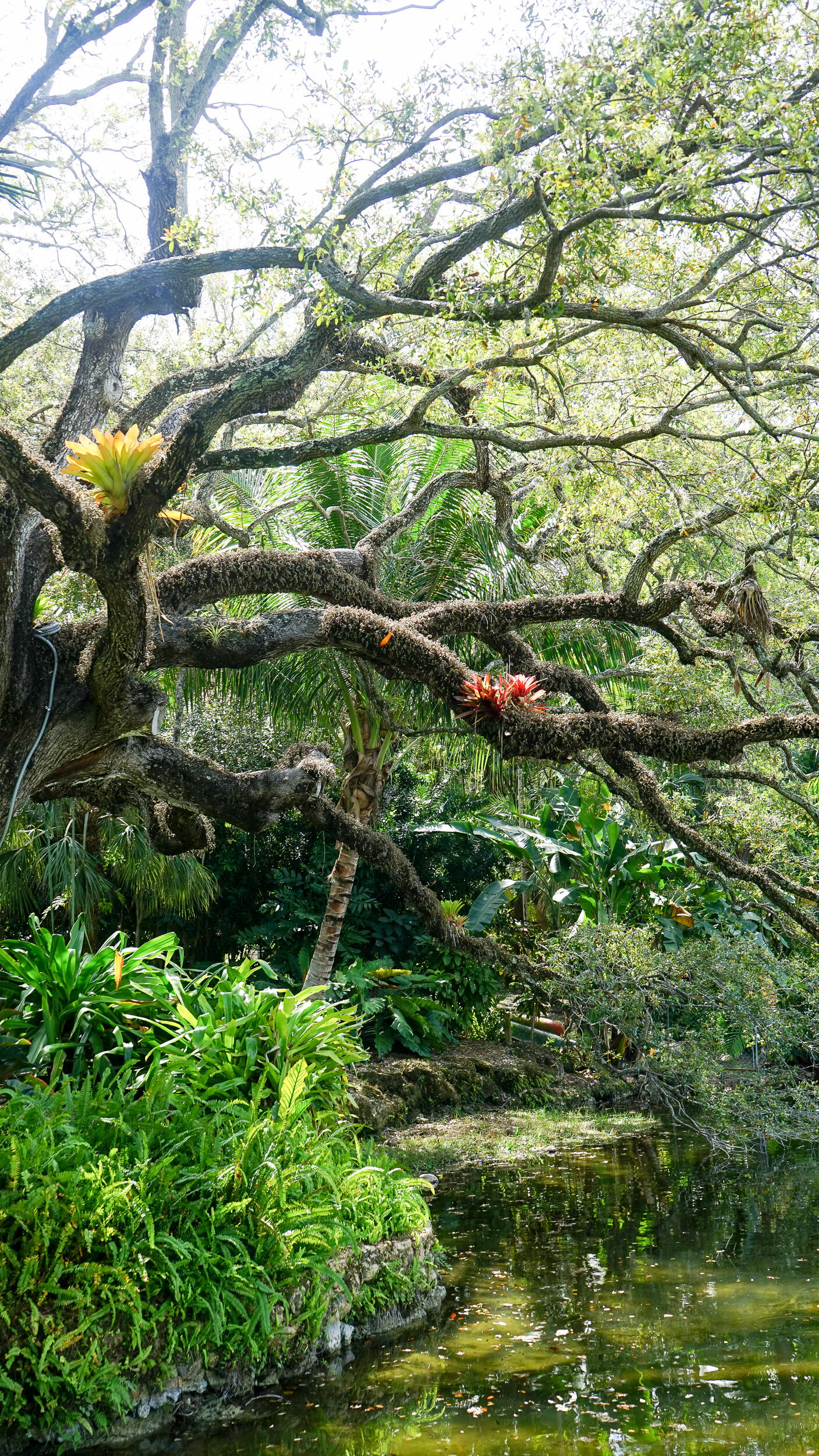 Jungle Garden Oasis