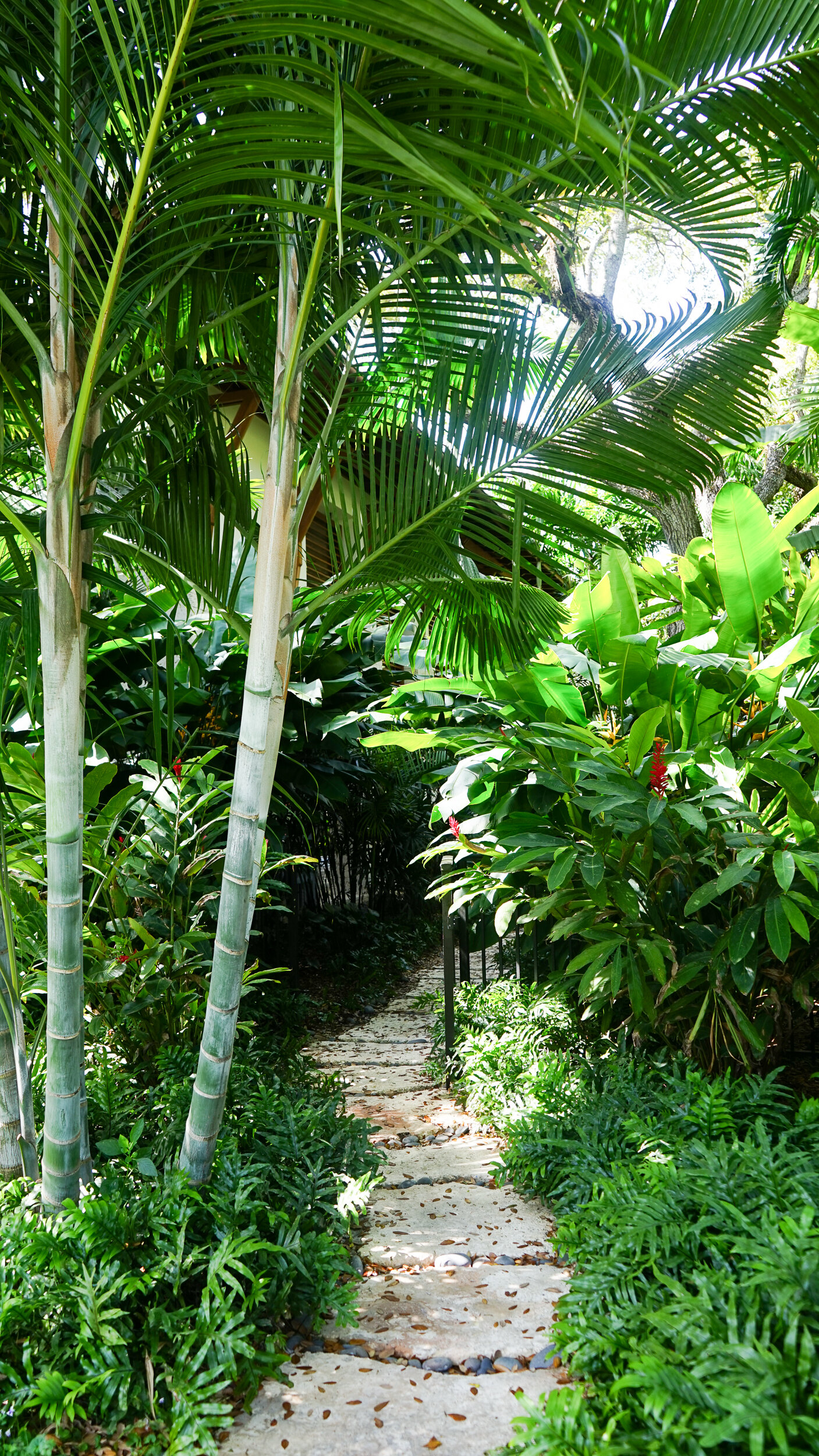 Jungle Garden Oasis